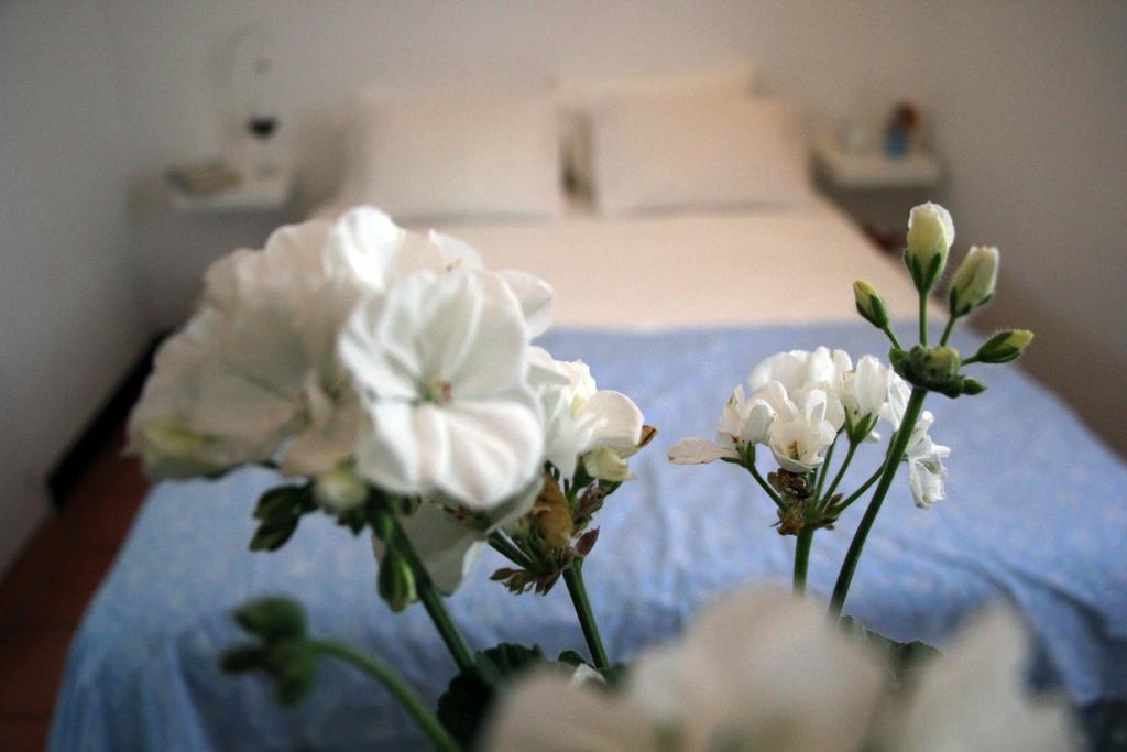 A Casa Da Arvore Bed and Breakfast Vila Nova de Milfontes Habitación foto
